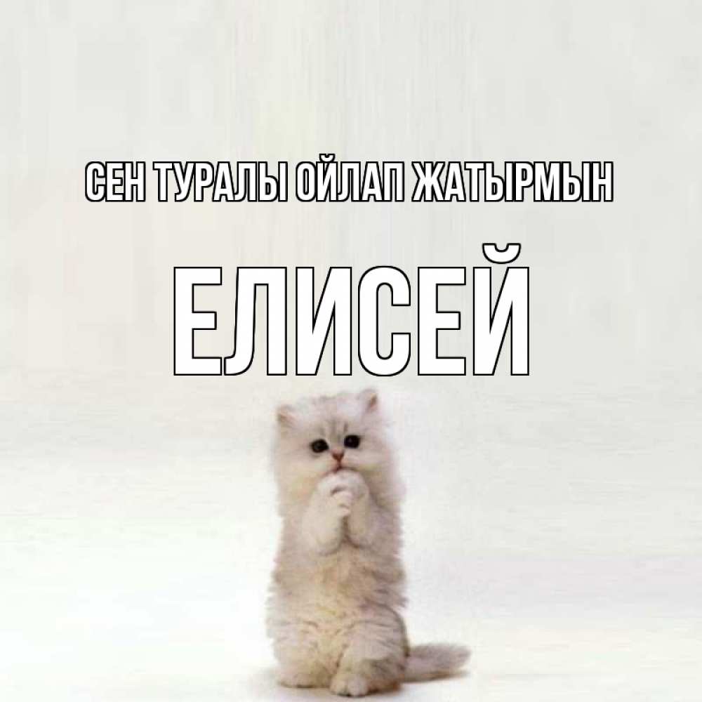 Күн сайын ашық хат с именем, Елисей Сен туралы ойлап жатырмын кот стоит на задних лапах Онлайн тегін жүктеп алу тілектері бар керемет карта 