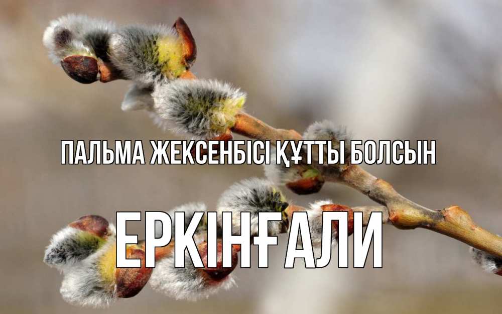 Күн сайын ашық хат с именем, Еркінғали Пальма жексенбісі құтты болсын Верба Онлайн тегін жүктеп алу тілектері бар керемет карта 