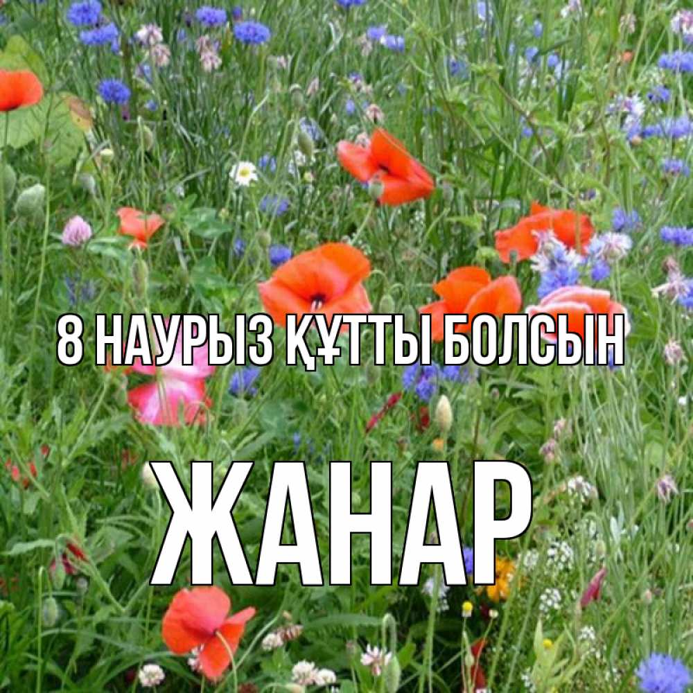 Күн сайын ашық хат с именем, ЖАНАР 8 наурыз құтты болсын международный женский день 4 Онлайн тегін жүктеп алу тілектері бар керемет карта 