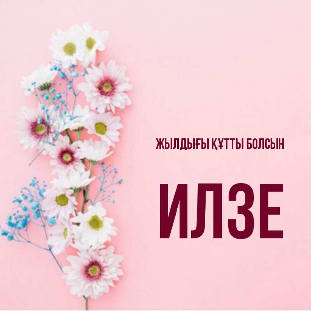 Күн сайын ашық хат с именем, Илзе Жылдығы құтты болсын Родная моя с днем рождения тебя картинка с цветами белыми и голубыми Онлайн тегін жүктеп алу тілектері бар керемет карта 