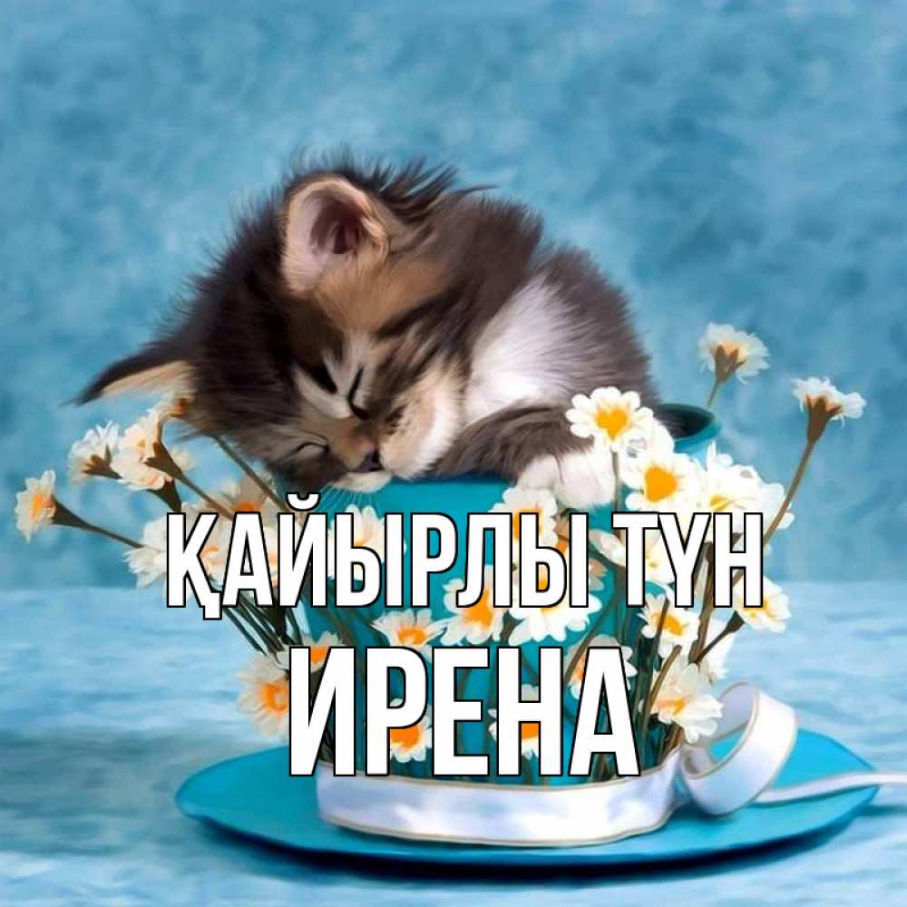 Күн сайын ашық хат с именем, Ирена Қайырлы түн котенок спит в кружке с блюдцем Онлайн тегін жүктеп алу тілектері бар керемет карта 