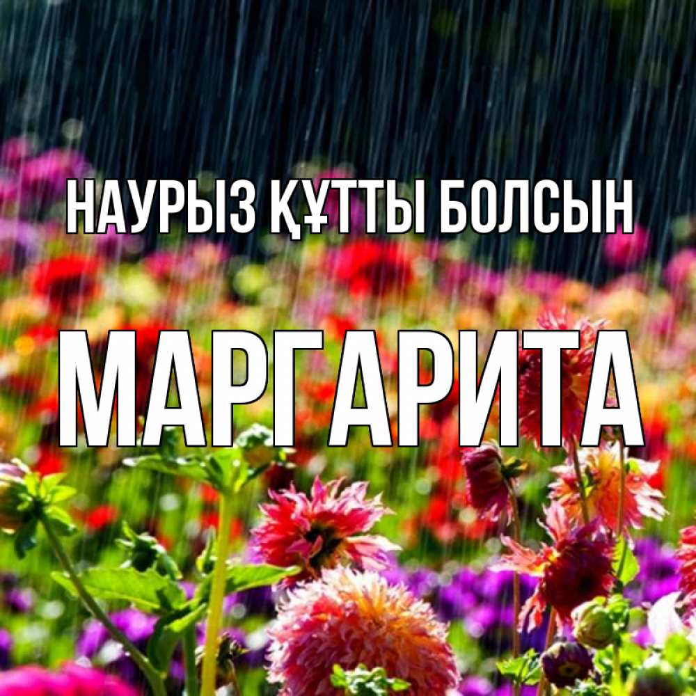 Күн сайын ашық хат с именем, Маргарита Наурыз құтты болсын цветы под дождиком к наурызу Онлайн тегін жүктеп алу тілектері бар керемет карта 