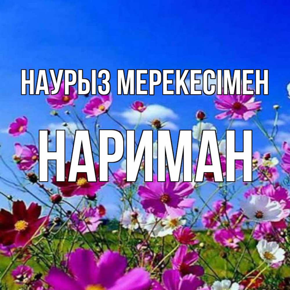 Күн сайын ашық хат с именем, НАРИМАН Наурыз мерекесімен цветы Онлайн тегін жүктеп алу тілектері бар керемет карта 