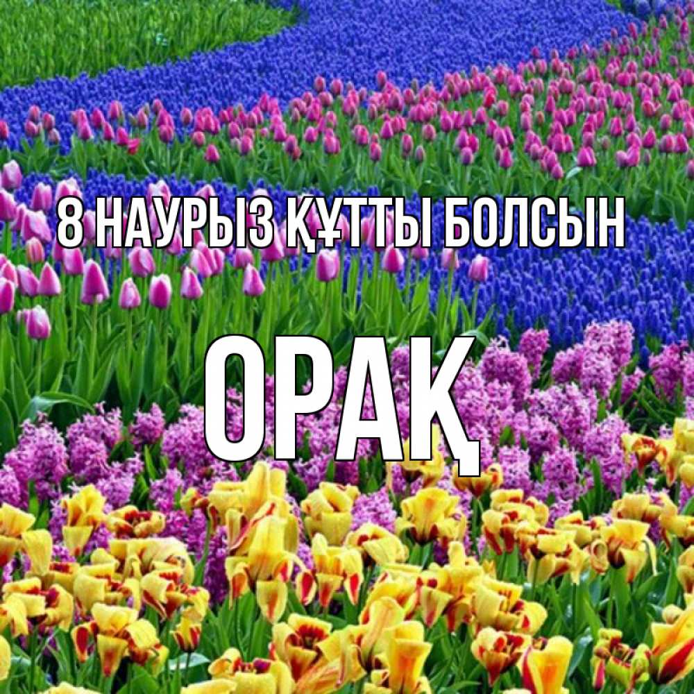 Күн сайын ашық хат с именем, ОРАҚ 8 наурыз құтты болсын цветы Онлайн тегін жүктеп алу тілектері бар керемет карта 