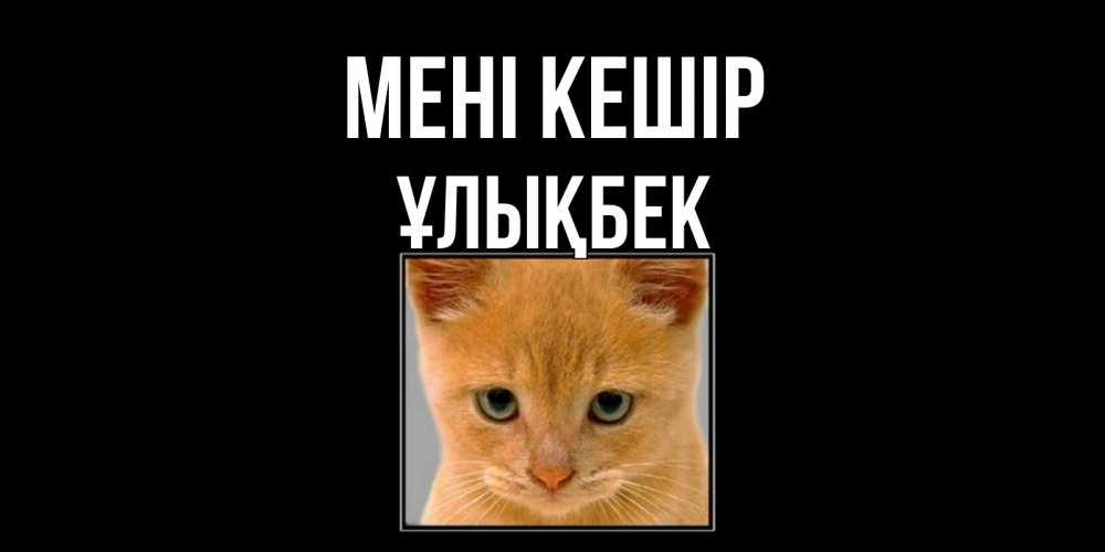 Күн сайын ашық хат с именем, ҰЛЫҚБЕК Мені кешір рыжий грустный кот просит прощения Онлайн тегін жүктеп алу тілектері бар керемет карта 