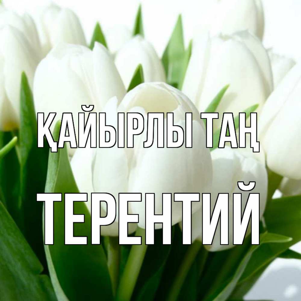 Күн сайын ашық хат с именем, Терентий Қайырлы таң открытки на каждый день по именам Онлайн тегін жүктеп алу тілектері бар керемет карта 