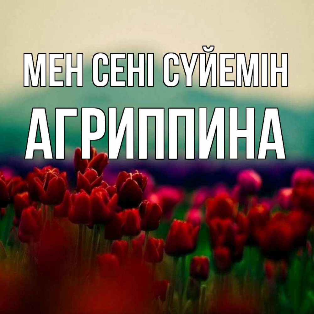 Күн сайын ашық хат с именем, Агриппина Мен сені сүйемін тюльпаны 4 Онлайн тегін жүктеп алу тілектері бар керемет карта 