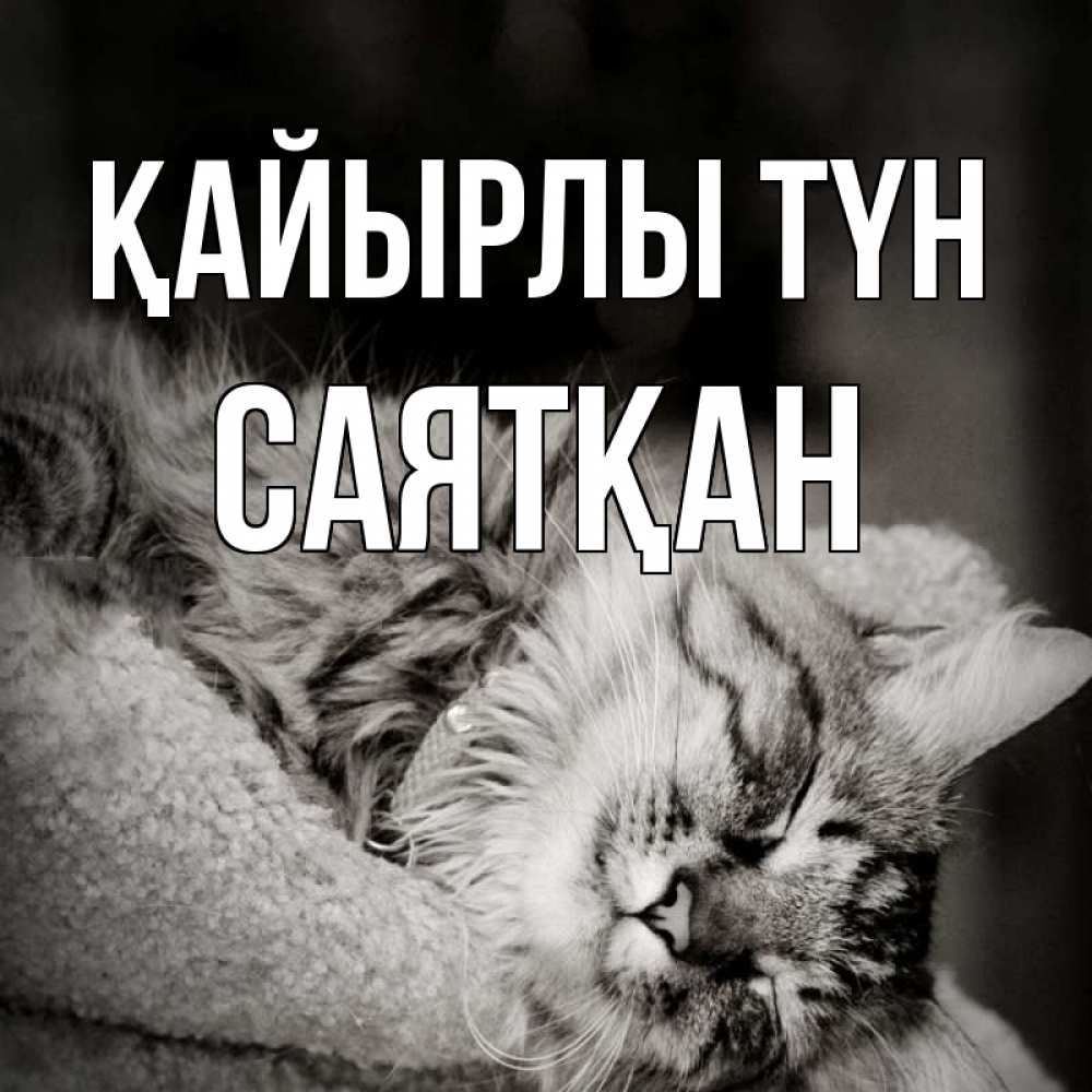 Күн сайын ашық хат с именем, САЯТҚАН Қайырлы түн котярик пушистый Онлайн тегін жүктеп алу тілектері бар керемет карта 