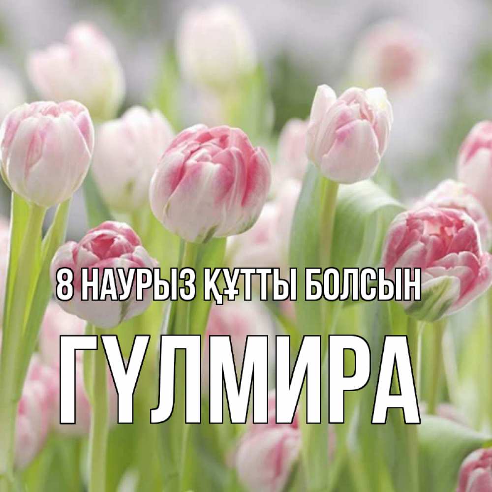Күн сайын ашық хат с именем, ГҮЛМИРА 8 наурыз құтты болсын цветы Онлайн тегін жүктеп алу тілектері бар керемет карта 