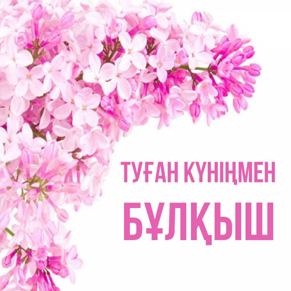 Күн сайын ашық хат с именем, Бұлқыш Туған күніңмен Сирень на белом фоне Онлайн тегін жүктеп алу тілектері бар керемет карта 