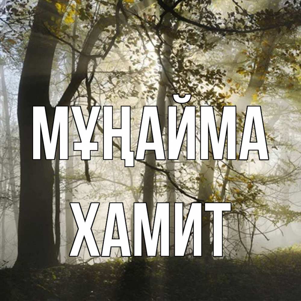 Күн сайын ашық хат с именем, ХАМИТ Мұңайма лес и свет Онлайн тегін жүктеп алу тілектері бар керемет карта 