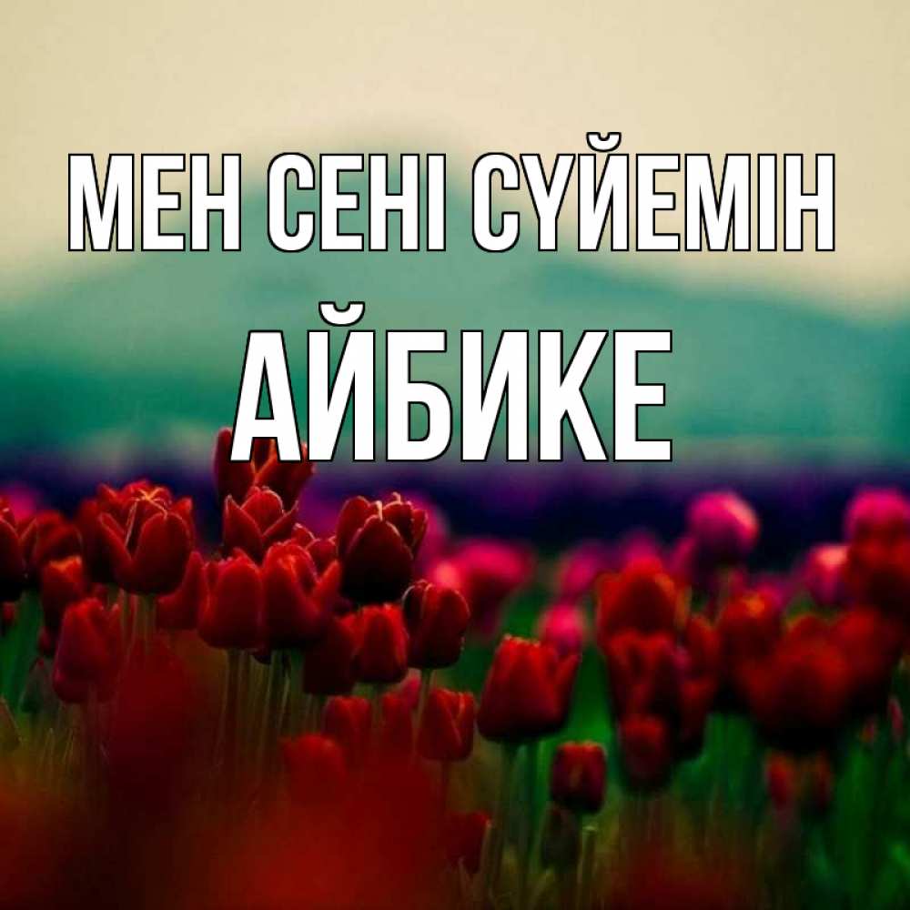 Күн сайын ашық хат с именем, АЙБИКЕ Мен сені сүйемін тюльпаны 4 Онлайн тегін жүктеп алу тілектері бар керемет карта 