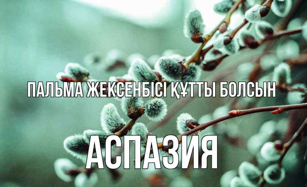 Күн сайын ашық хат с именем, АСПАЗИЯ Пальма жексенбісі құтты болсын верба Онлайн тегін жүктеп алу тілектері бар керемет карта 