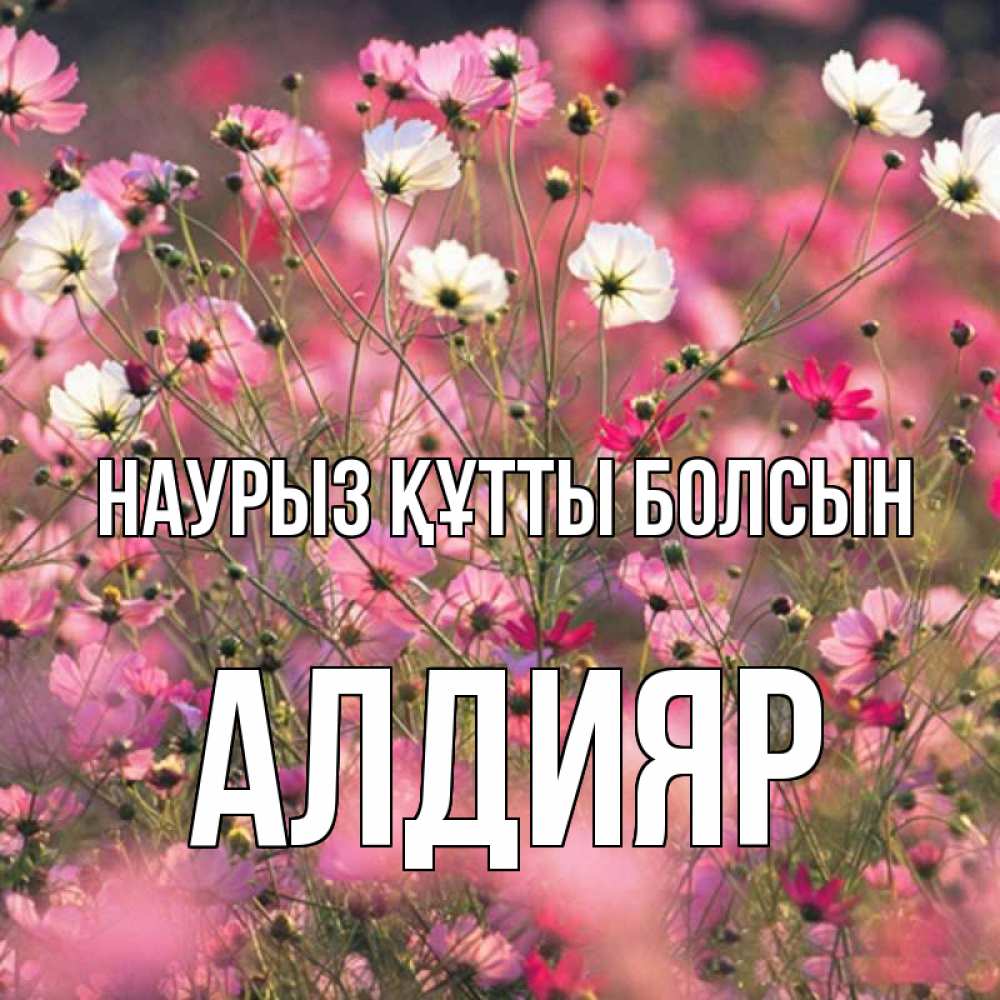 Күн сайын ашық хат с именем, Алдияр Наурыз құтты болсын красиво 1 Онлайн тегін жүктеп алу тілектері бар керемет карта 