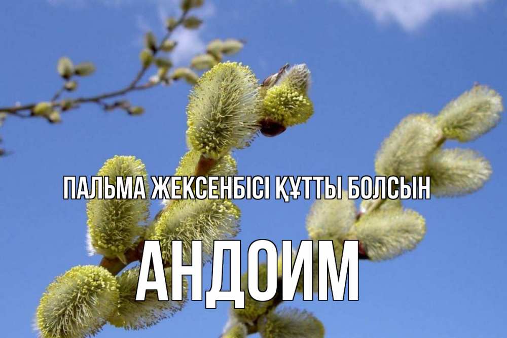 Күн сайын ашық хат с именем, Андоим Пальма жексенбісі құтты болсын верба Онлайн тегін жүктеп алу тілектері бар керемет карта 