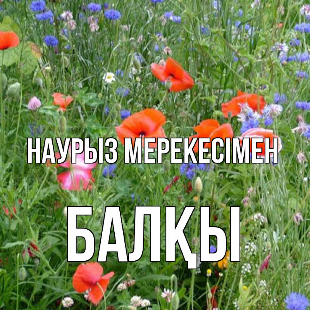 Күн сайын ашық хат с именем, Балқы Наурыз мерекесімен праздник весны наурыз супер открытка Онлайн тегін жүктеп алу тілектері бар керемет карта 