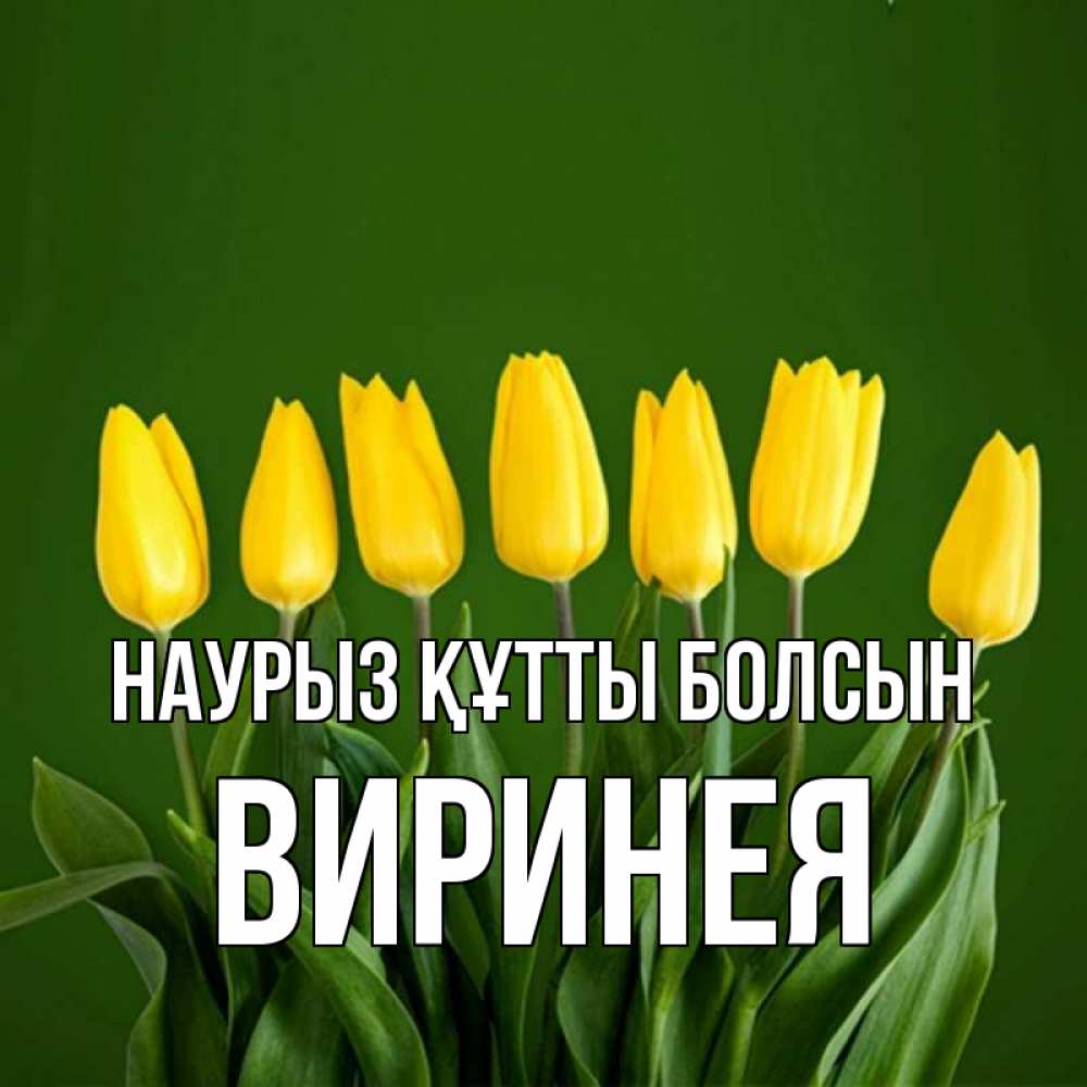 Күн сайын ашық хат с именем, Виринея Наурыз құтты болсын желтого цвета 3 Онлайн тегін жүктеп алу тілектері бар керемет карта 