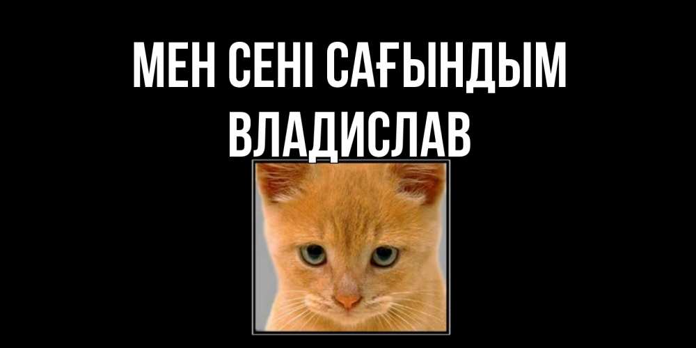 Күн сайын ашық хат с именем, Владислав Мен сені сағындым открытки рыжий котенок скучает по тебе Онлайн тегін жүктеп алу тілектері бар керемет карта 