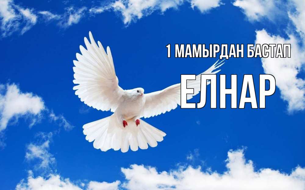 Күн сайын ашық хат с именем, Елнар 1 мамырдан бастап С 1 мая 1 Онлайн тегін жүктеп алу тілектері бар керемет карта 