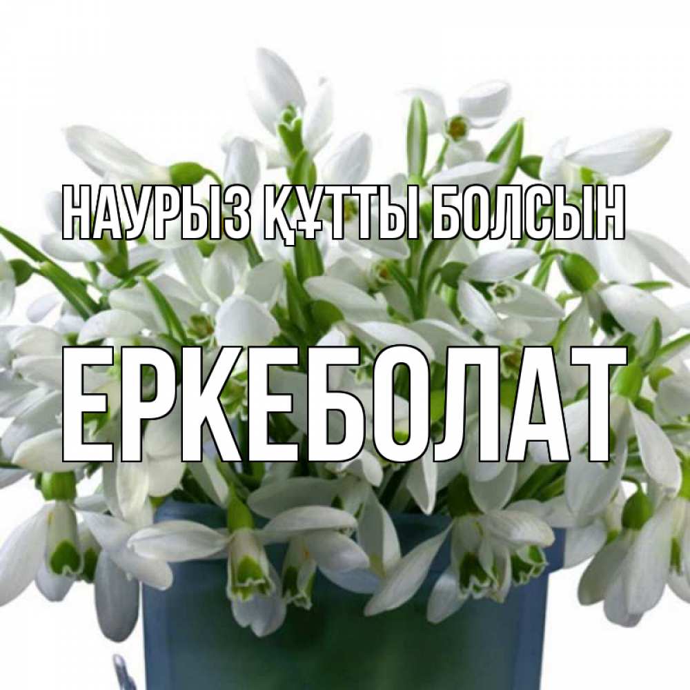 Күн сайын ашық хат с именем, Еркеболат Наурыз құтты болсын цветы к наурызу Онлайн тегін жүктеп алу тілектері бар керемет карта 