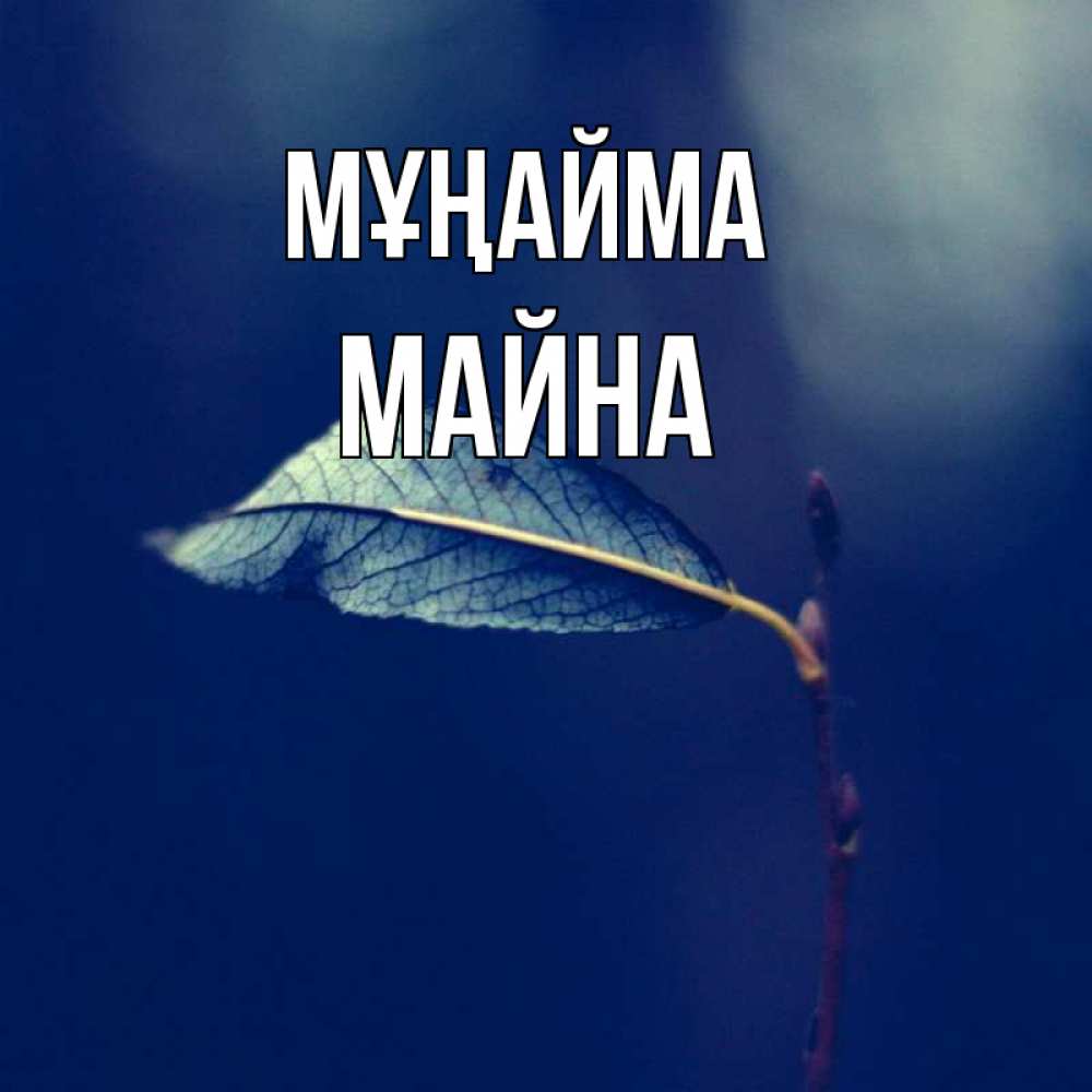 Күн сайын ашық хат с именем, МАЙНА Мұңайма растение Онлайн тегін жүктеп алу тілектері бар керемет карта 