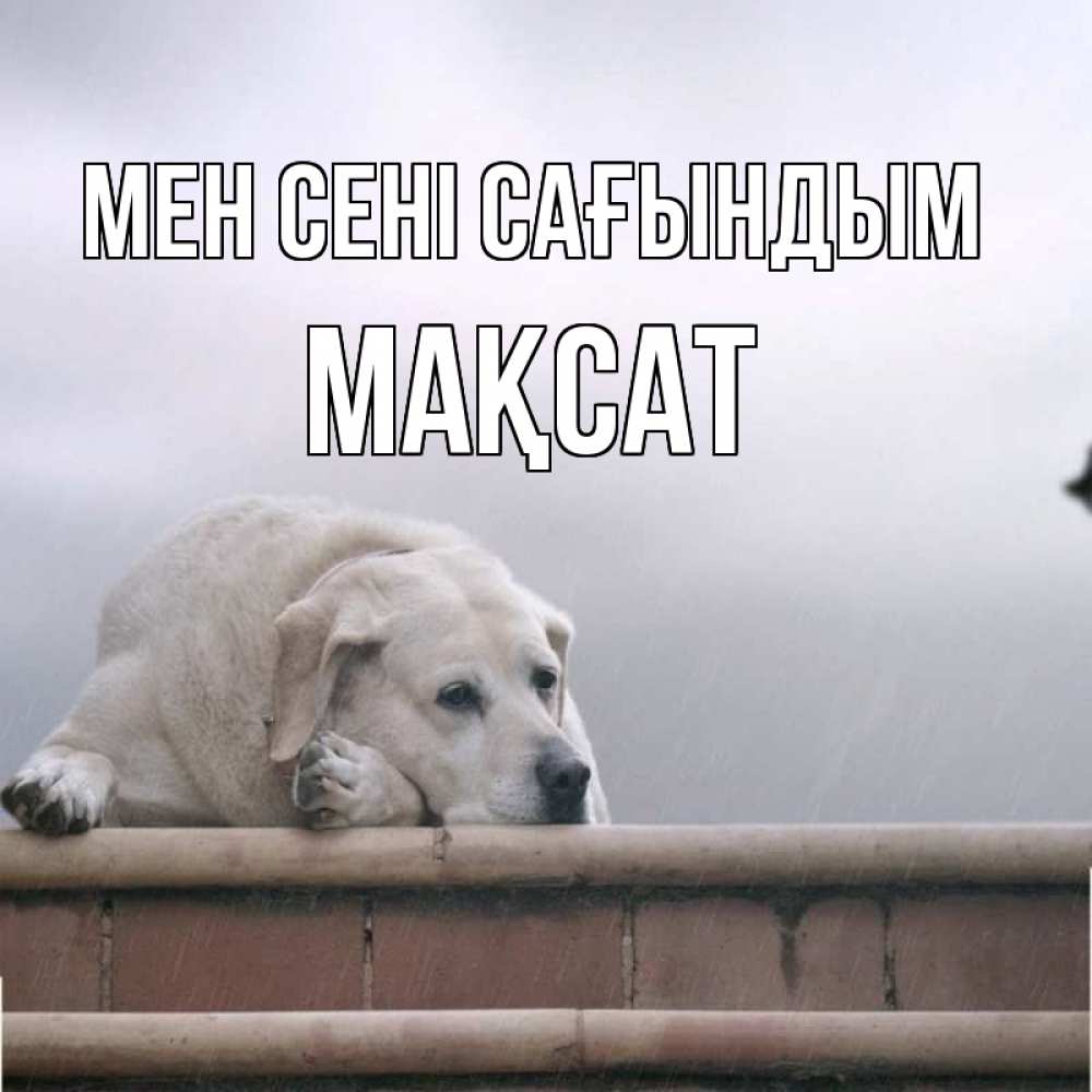 Күн сайын ашық хат с именем, МАҚСАТ Мен сені сағындым ждет Онлайн тегін жүктеп алу тілектері бар керемет карта 