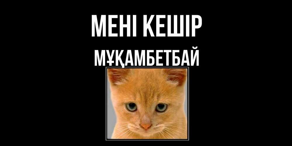 Күн сайын ашық хат с именем, Мұқамбетбай Мені кешір рыжий грустный кот просит прощения Онлайн тегін жүктеп алу тілектері бар керемет карта 