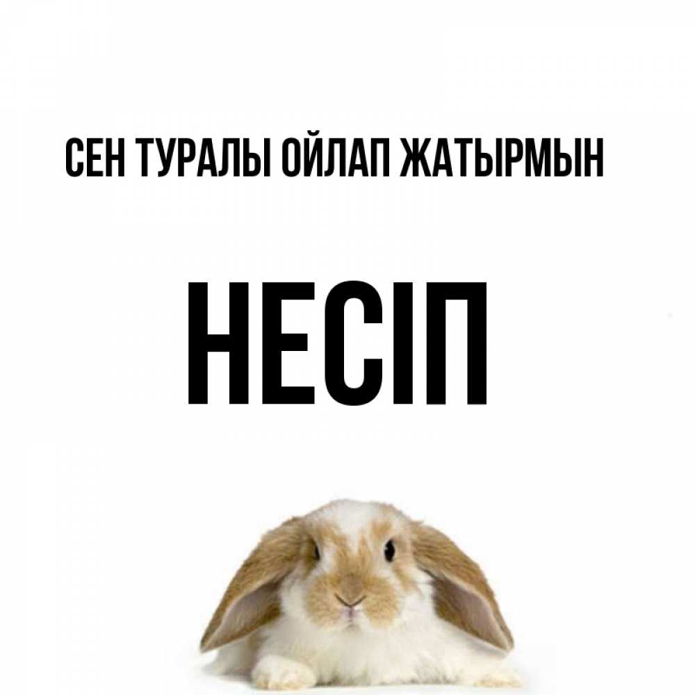 Күн сайын ашық хат с именем, НЕСІП Сен туралы ойлап жатырмын подписать своими руками онлайн Онлайн тегін жүктеп алу тілектері бар керемет карта 