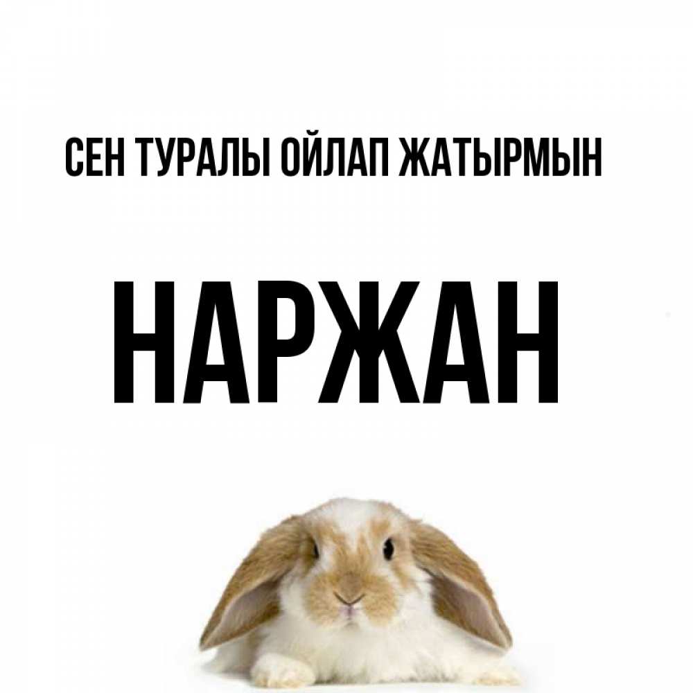 Күн сайын ашық хат с именем, Наржан Сен туралы ойлап жатырмын подписать своими руками онлайн Онлайн тегін жүктеп алу тілектері бар керемет карта 