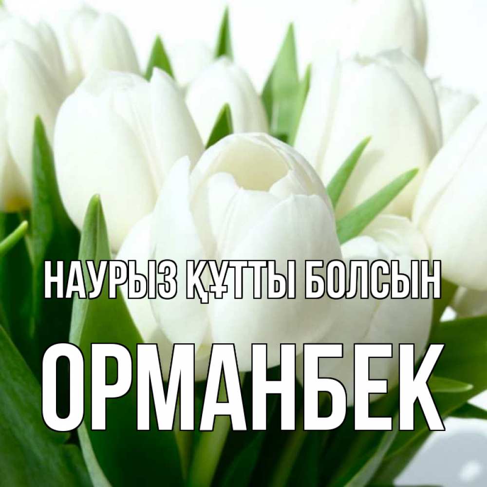 Күн сайын ашық хат с именем, ОРМАНБЕК Наурыз құтты болсын цветы Онлайн тегін жүктеп алу тілектері бар керемет карта 