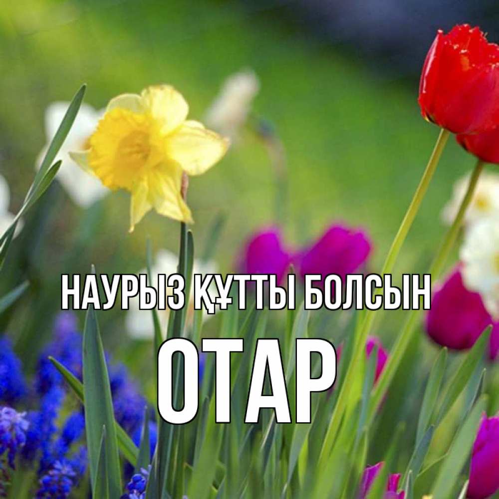 Күн сайын ашық хат с именем, ОТАР Наурыз құтты болсын наурыз  3 открытки Онлайн тегін жүктеп алу тілектері бар керемет карта 