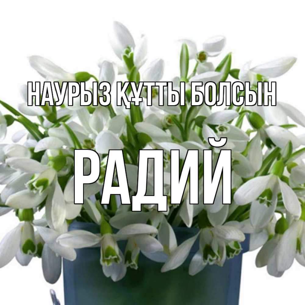 Күн сайын ашық хат с именем, Радий Наурыз құтты болсын цветы к наурызу Онлайн тегін жүктеп алу тілектері бар керемет карта 