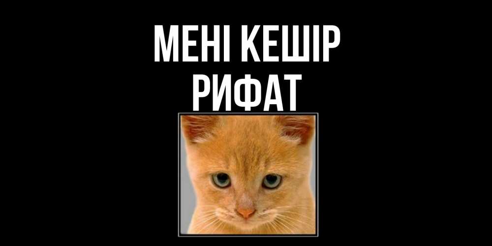 Күн сайын ашық хат с именем, Рифат Мені кешір рыжий грустный кот просит прощения Онлайн тегін жүктеп алу тілектері бар керемет карта 