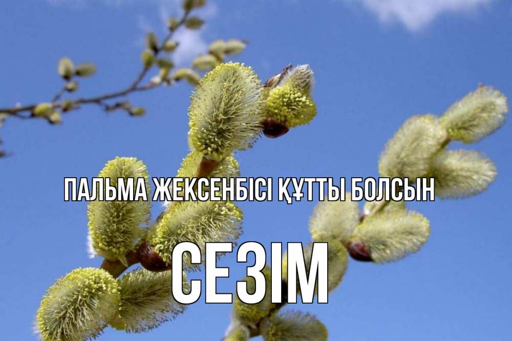 Күн сайын ашық хат с именем, СЕЗІМ Пальма жексенбісі құтты болсын верба Онлайн тегін жүктеп алу тілектері бар керемет карта 