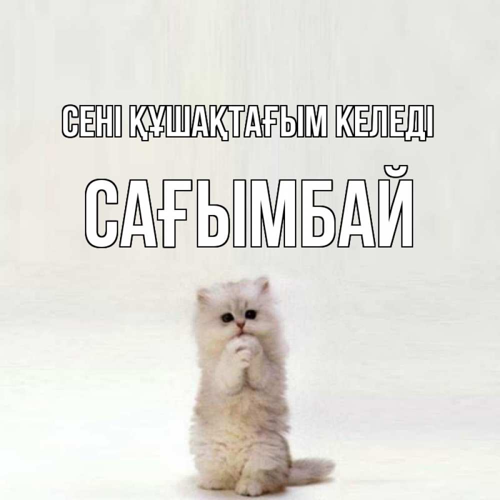 Күн сайын ашық хат с именем, Сағымбай сені құшақтағым келеді открытки с креативными подписями Онлайн тегін жүктеп алу тілектері бар керемет карта 