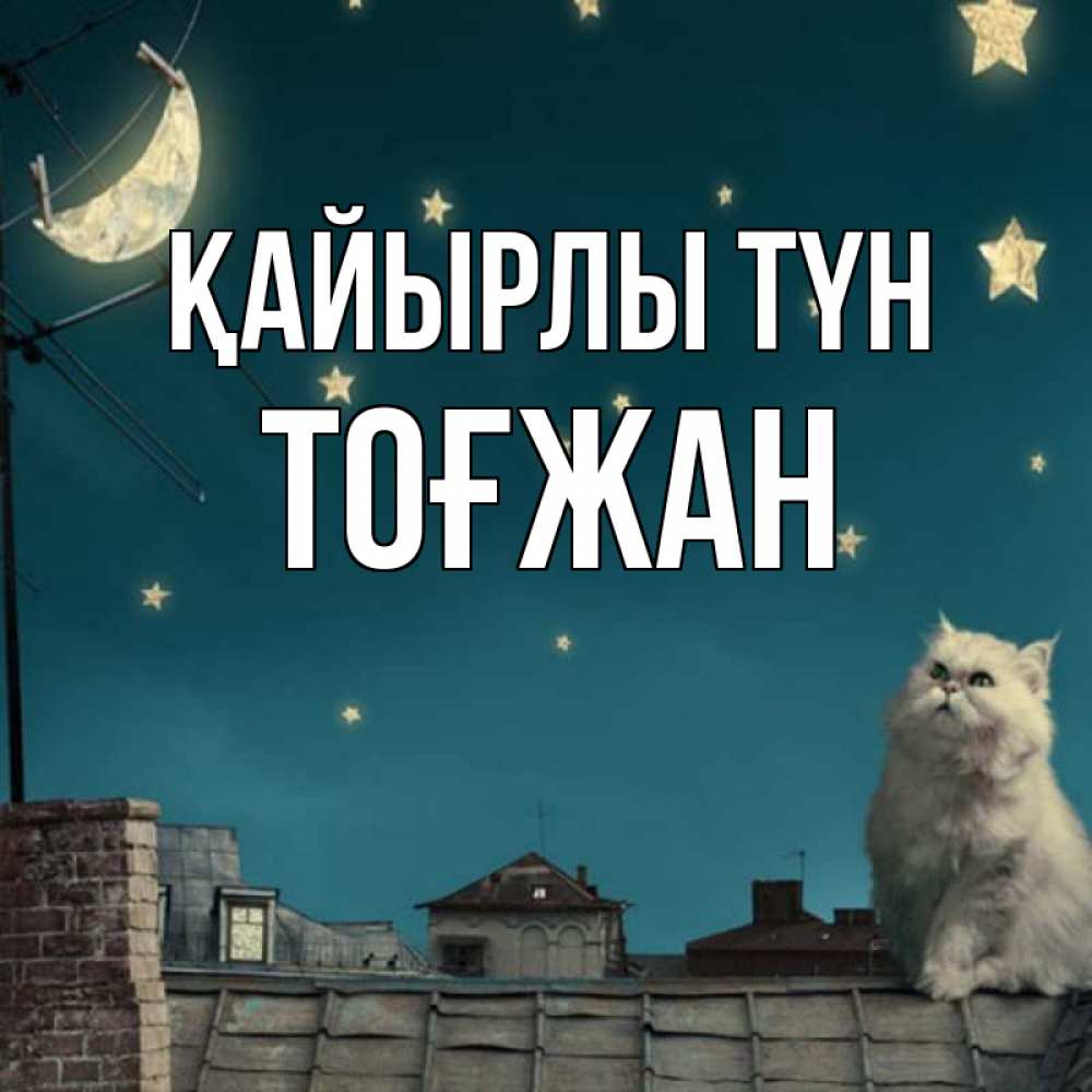 Күн сайын ашық хат с именем, ТОҒЖАН Қайырлы түн белый кот сидит на крыше Онлайн тегін жүктеп алу тілектері бар керемет карта 