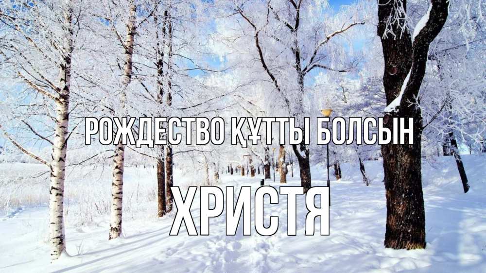 Күн сайын ашық хат с именем, Христя Рождество құтты болсын зимний лес Онлайн тегін жүктеп алу тілектері бар керемет карта 