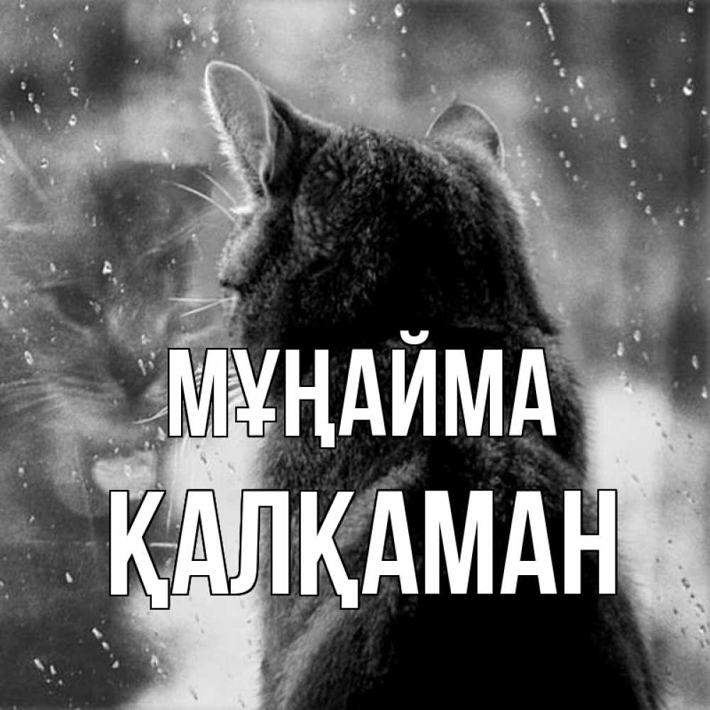 Күн сайын ашық хат с именем, Қалқаман Мұңайма отражение кота 1 Онлайн тегін жүктеп алу тілектері бар керемет карта 