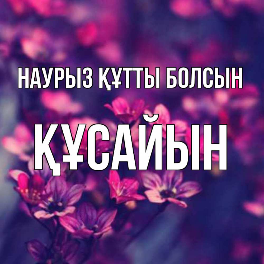Күн сайын ашық хат с именем, ҚҰСАЙЫН Наурыз құтты болсын небольшие цветы 1 Онлайн тегін жүктеп алу тілектері бар керемет карта 