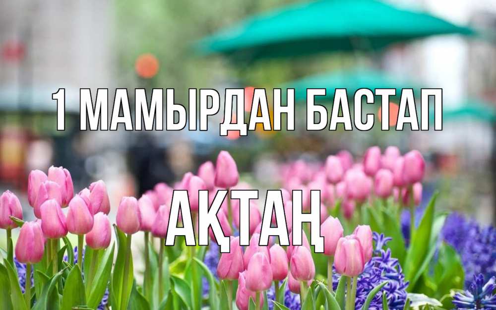 Күн сайын ашық хат с именем, Ақтаң 1 мамырдан бастап С 1 мая Онлайн тегін жүктеп алу тілектері бар керемет карта 