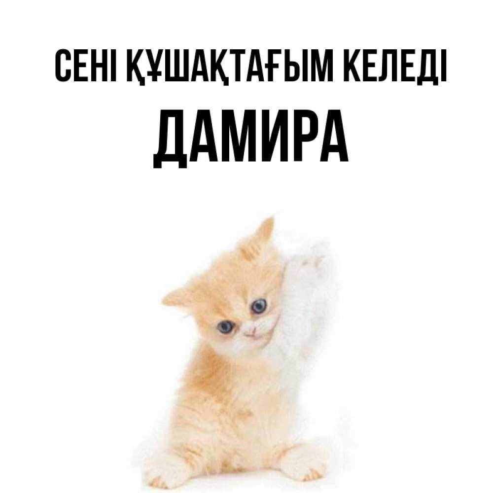 Күн сайын ашық хат с именем, ДАМИРА сені құшақтағым келеді я хочу очень скорее обнимаешек Онлайн тегін жүктеп алу тілектері бар керемет карта 