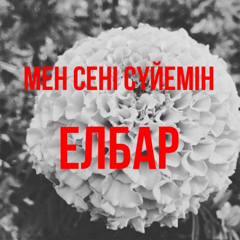 Күн сайын ашық хат с именем, Елбар Мен сені сүйемін подпись Онлайн тегін жүктеп алу тілектері бар керемет карта 