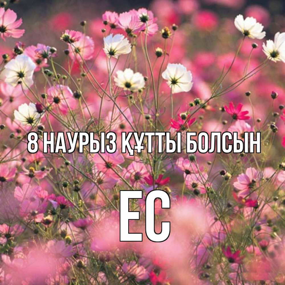 Күн сайын ашық хат с именем, Ес 8 наурыз құтты болсын красиво 1 Онлайн тегін жүктеп алу тілектері бар керемет карта 