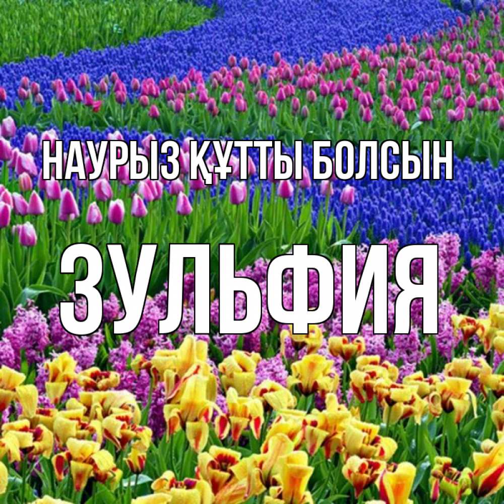 Күн сайын ашық хат с именем, Зульфия Наурыз құтты болсын цветы Онлайн тегін жүктеп алу тілектері бар керемет карта 