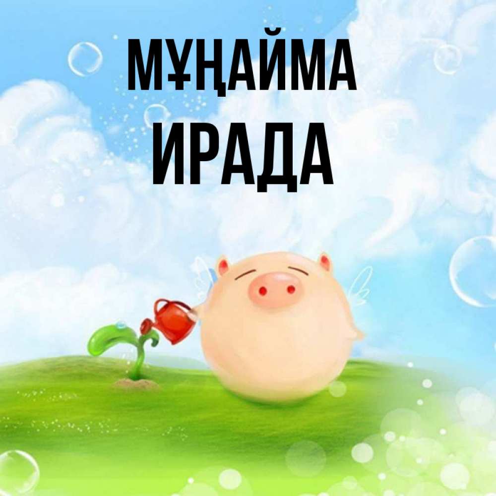 Күн сайын ашық хат с именем, ИРАДА Мұңайма поливает цветок порося Онлайн тегін жүктеп алу тілектері бар керемет карта 
