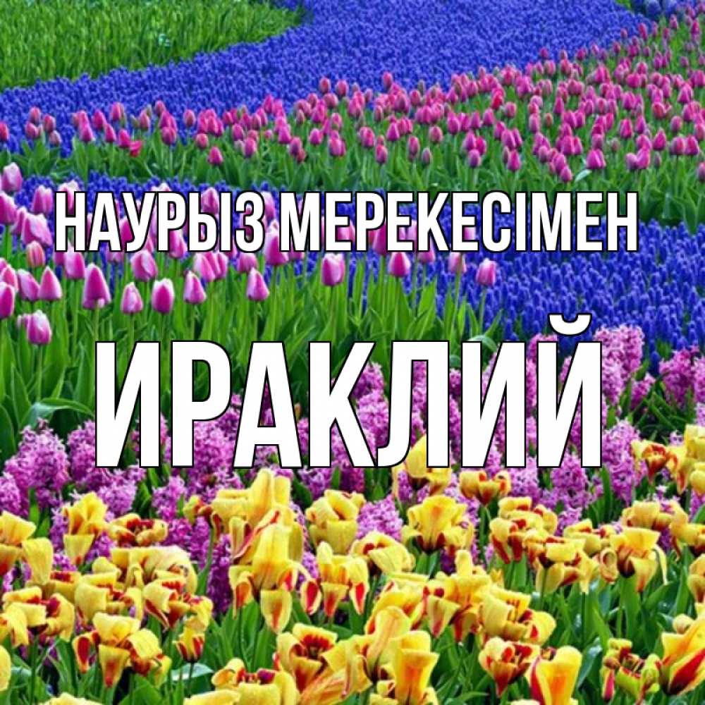 Күн сайын ашық хат с именем, Ираклий Наурыз мерекесімен цветы Онлайн тегін жүктеп алу тілектері бар керемет карта 