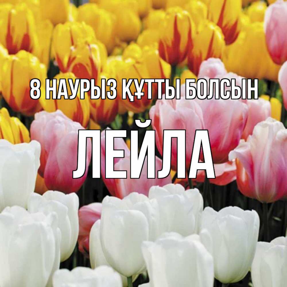 Күн сайын ашық хат с именем, Лейла 8 наурыз құтты болсын разноцветные цветы Онлайн тегін жүктеп алу тілектері бар керемет карта 