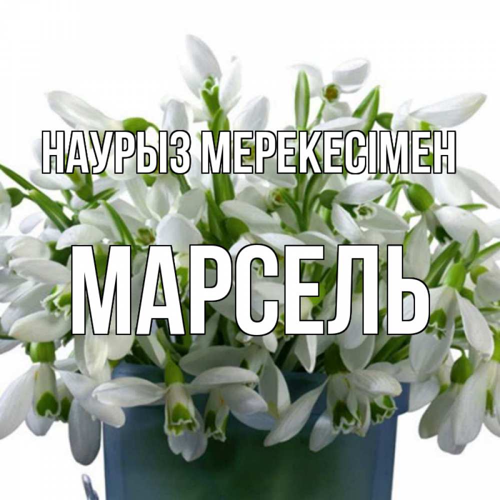 Күн сайын ашық хат с именем, Марсель Наурыз мерекесімен цветы к наурызу новый год в Казахстане Онлайн тегін жүктеп алу тілектері бар керемет карта 