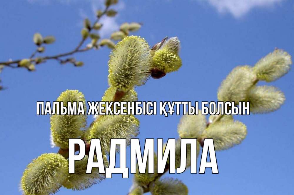 Күн сайын ашық хат с именем, Радмила Пальма жексенбісі құтты болсын верба Онлайн тегін жүктеп алу тілектері бар керемет карта 