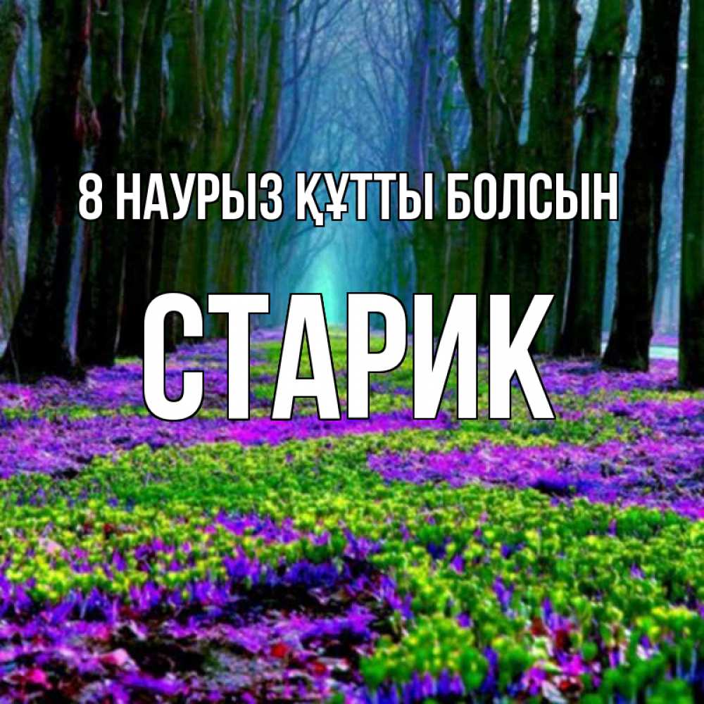 Күн сайын ашық хат с именем, Старик 8 наурыз құтты болсын фиолетовые цветы в лесу 1 Онлайн тегін жүктеп алу тілектері бар керемет карта 
